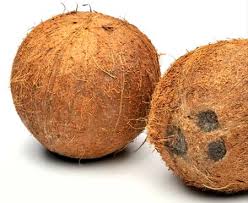 Manufacturers Exporters and Wholesale Suppliers of Coconuts chennai Tamil Nadu